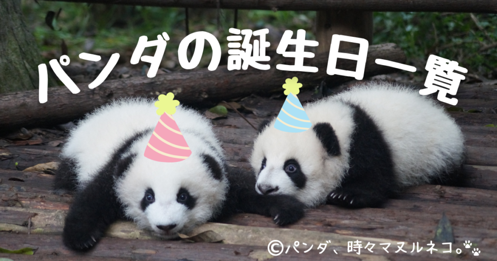 日本のパンダの誕生日を一覧で総まとめ！現在のパンダから歴代パンダまで網羅。年齢の人間換算や平均寿命、何月生まれが多い？など、パンダの誕生日と年齢に関する疑問を解決【2025最新】