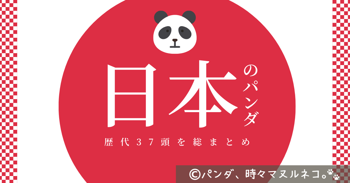 パンダの名前一覧！日本の歴代パンダ総まとめ上野・和歌山・神戸