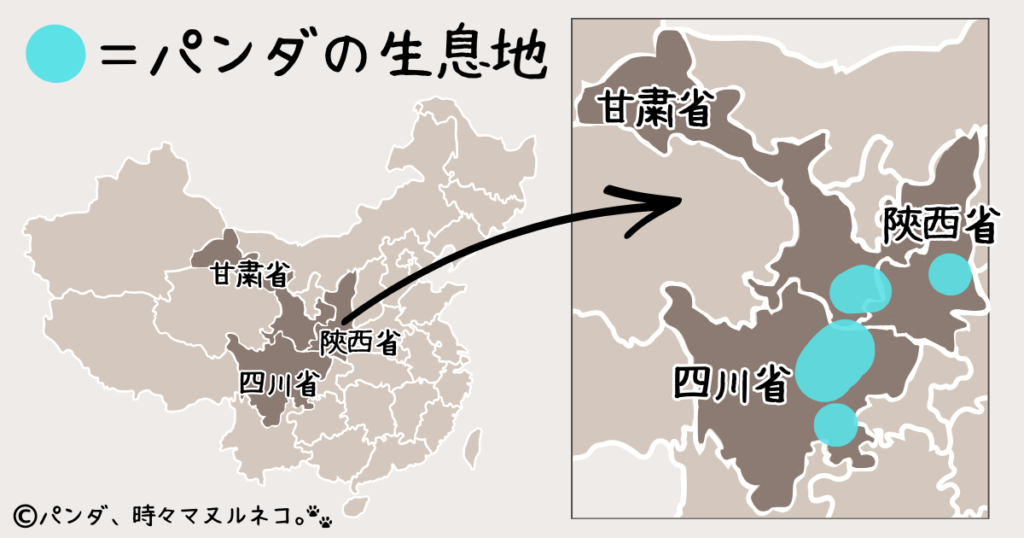 野生のジャイアントパンダの生息地は、中国の四川省・陝西省・甘粛省の山岳地帯だけ。