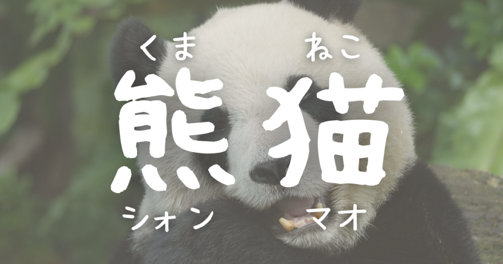 パンダを漢字で書くと「熊猫」