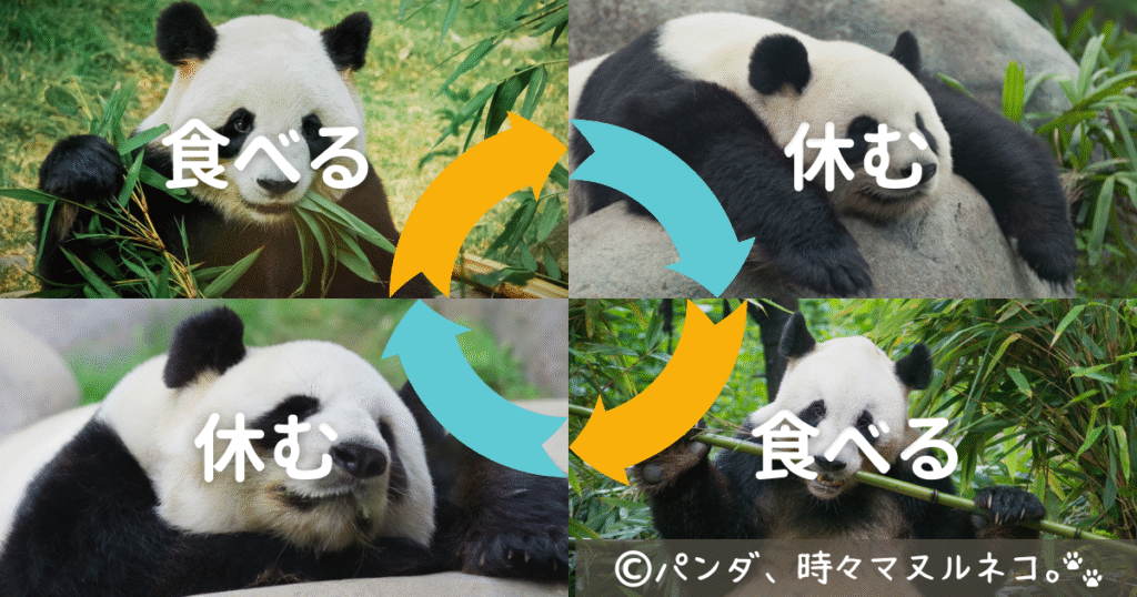 パンダは1日中寝たり起きたりを繰り返す独自の活動パターンを持つ動物。