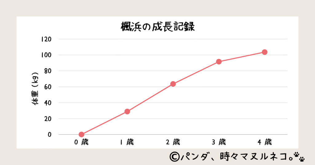 和歌山アドベンチャーワールドのジャイアントパンダ「楓浜(ふうひん)」の年齢と体重の推移を表す折れ線グラフ