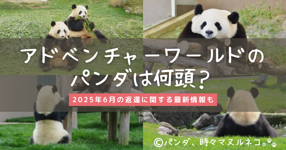 和歌山県・アドベンチャーワールドにパンダは何頭いるのかを徹底解説