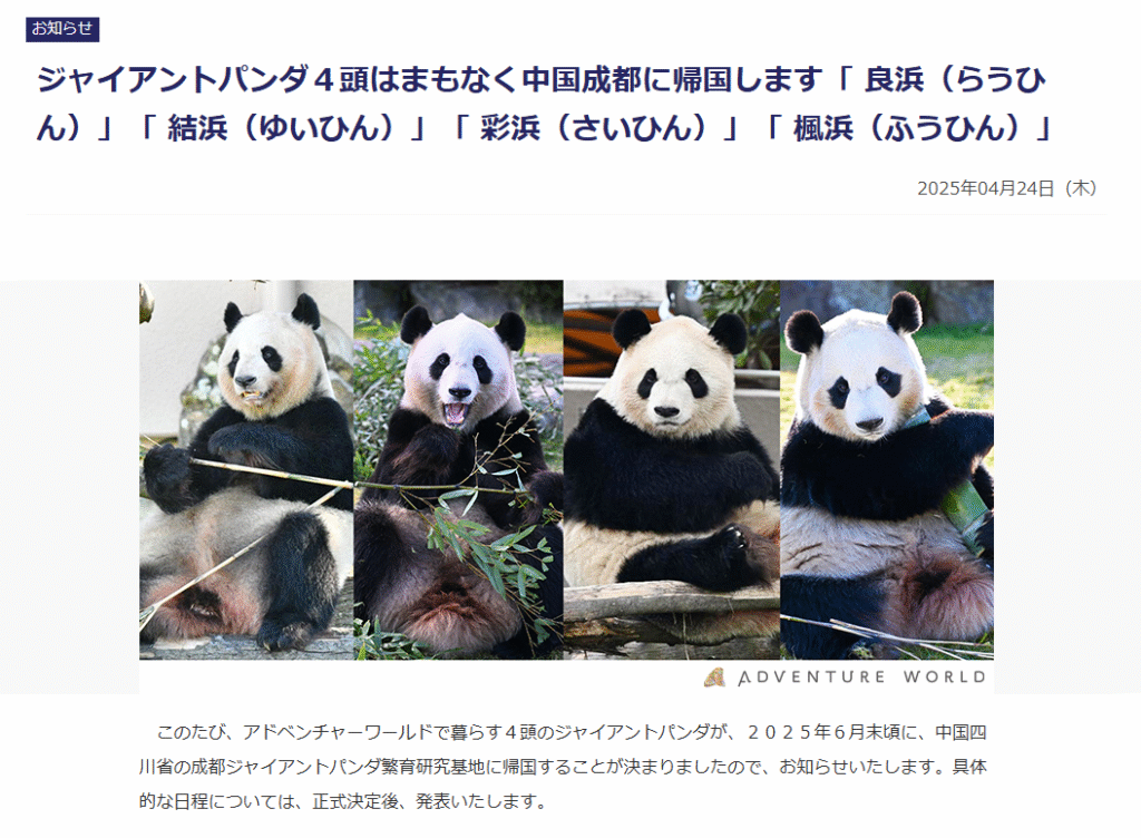 アドベンチャーワールドのパンダ4頭返還に関する公式発表のお知らせ
