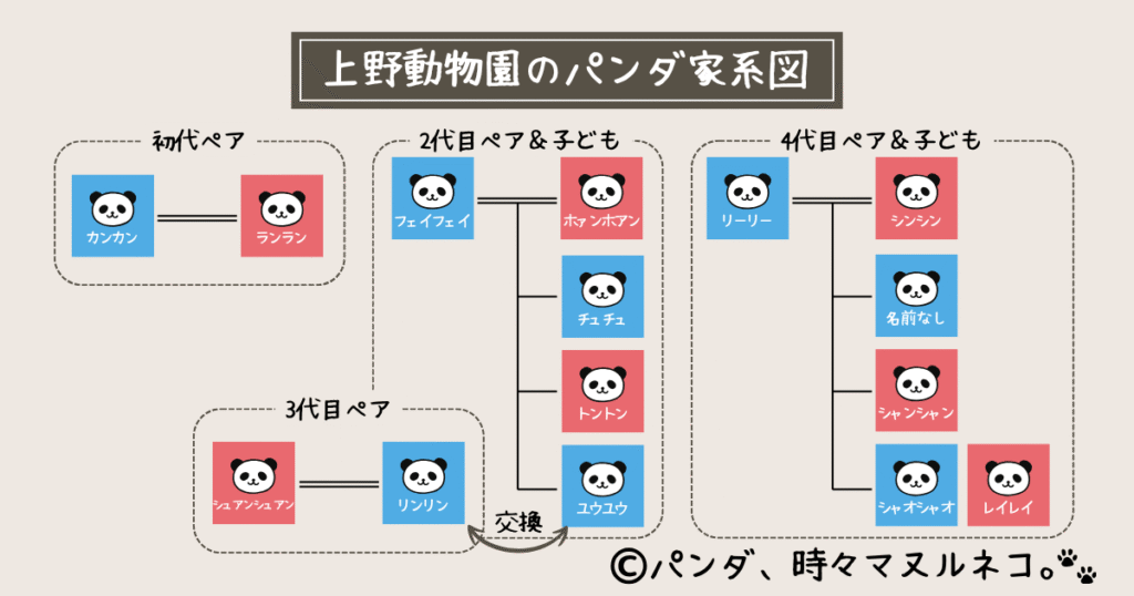 上野動物園の歴代パンダ家系図。歴代15頭のパンダの血縁関係を図示。