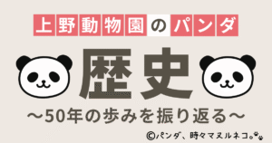 上野動物園のパンダの歴史50年解説します。