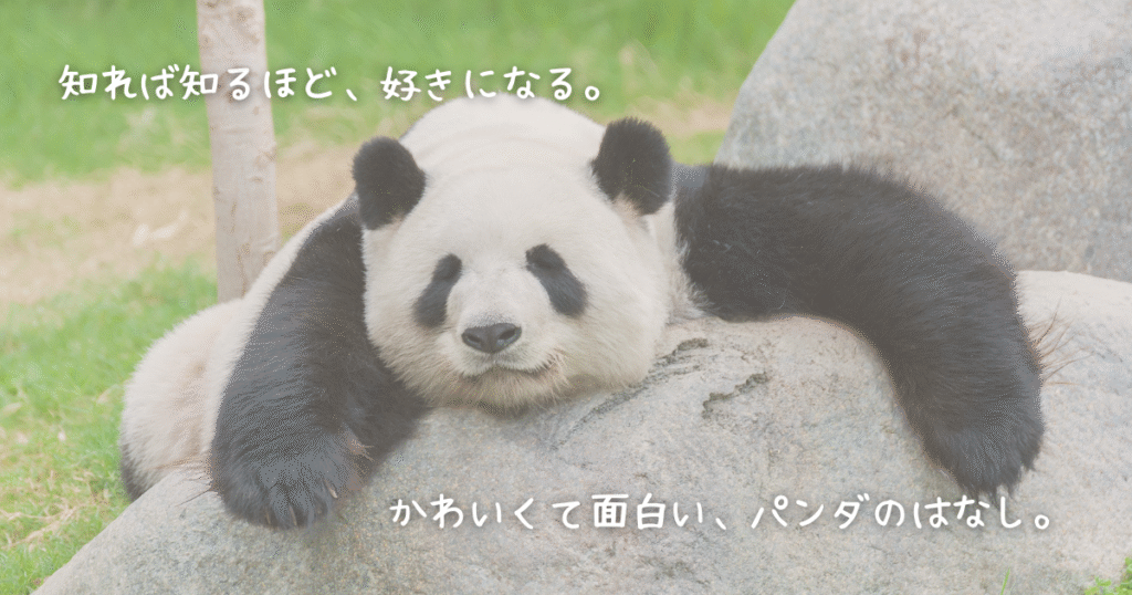 ジャイアントパンダのカテゴリページのメイン画像。